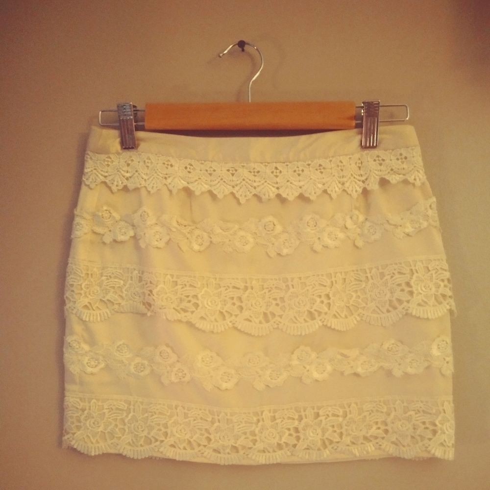 Silk and Lace Stretch Mini Skirt